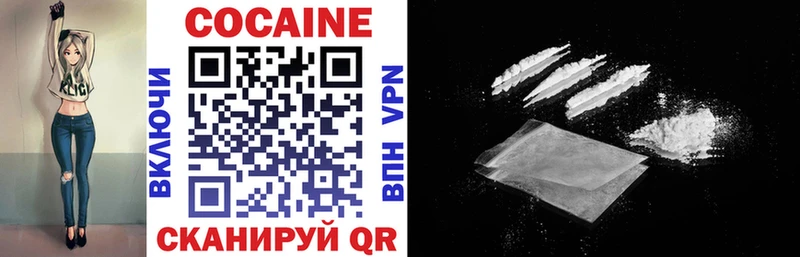 Кокаин Fish Scale  закладка  Бийск 