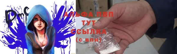 СК Арсеньев