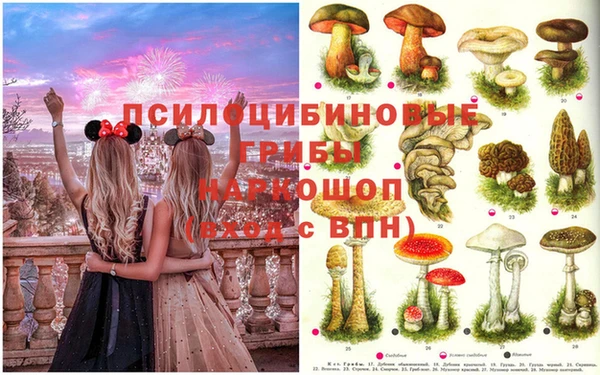 ГАЛЛЮЦИНОГЕННЫЕ ГРИБЫ Армянск