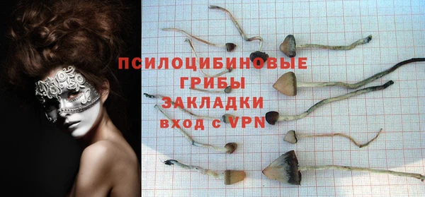 ГАЛЛЮЦИНОГЕННЫЕ ГРИБЫ Армянск