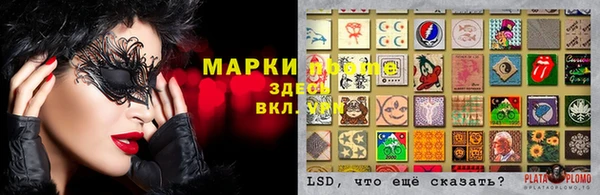 СК Арсеньев