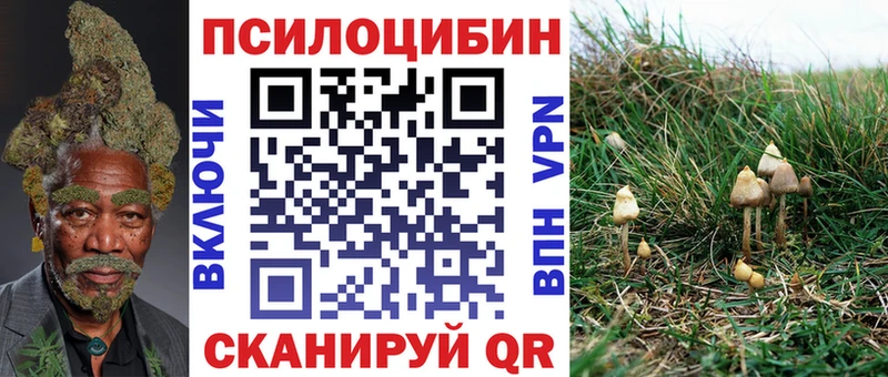 где найти наркотики  Бийск  Псилоцибиновые грибы Psilocybe 
